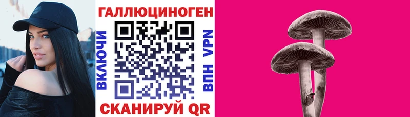 Псилоцибиновые грибы Cubensis  Купить закладки  Коммунар 